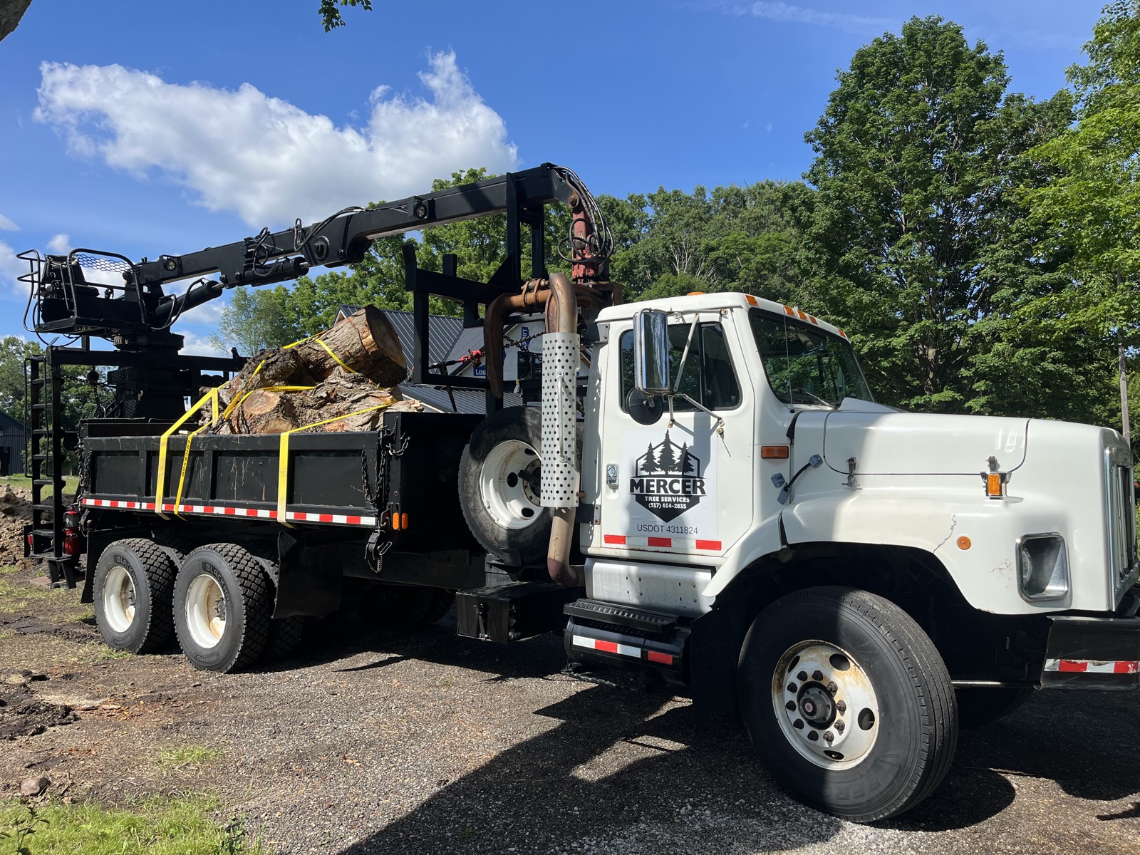 Mercer Tree Services truck loaded with large tree sections