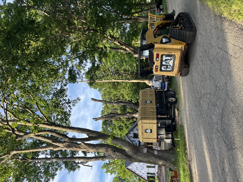 Tree service equipment and a Mercer trailer at a job site